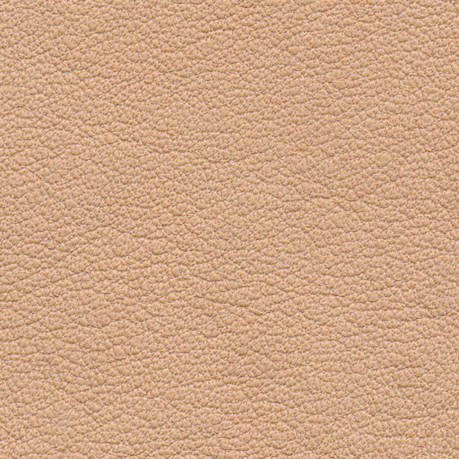 Nappa Leather Samples